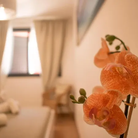 Апартаменты Cozy - Tenesol